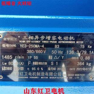75KW YE3系列三相异步增容电机质保 250MA 山东源头厂家直供YE3