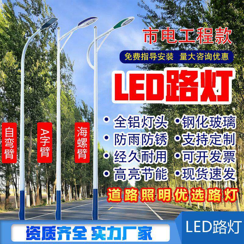 黑龙江户外路灯新农村道路照明市电路灯单双臂市政工程高杆路灯杆