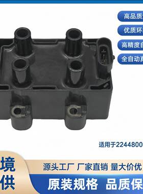 适用雷诺点火线圈2244800QAA 2244800QAC 5C1620