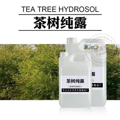 茶树纯露1000ML 澳洲茶树嫩枝叶蒸馏原液 头道纯露原料加工