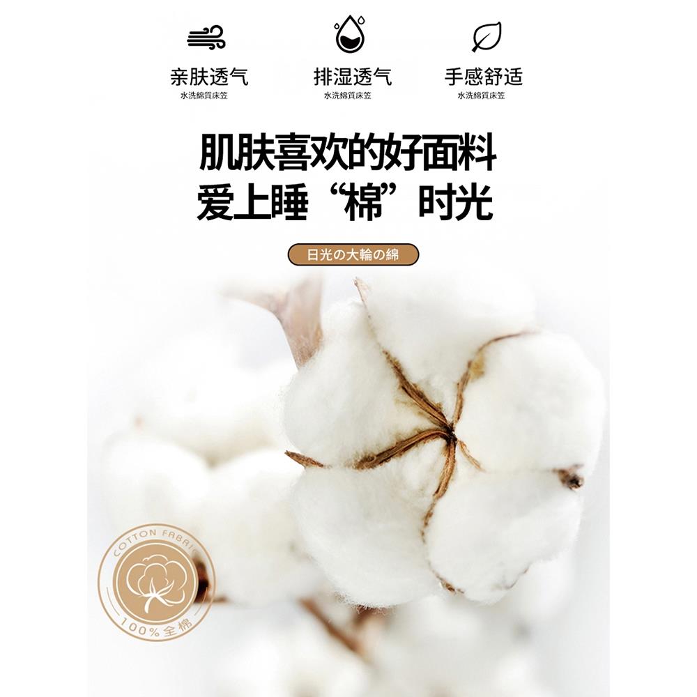 A类水洗床笠大豆棉套加厚FTG棉床套夹床单席梦思床垫保护罩床罩四