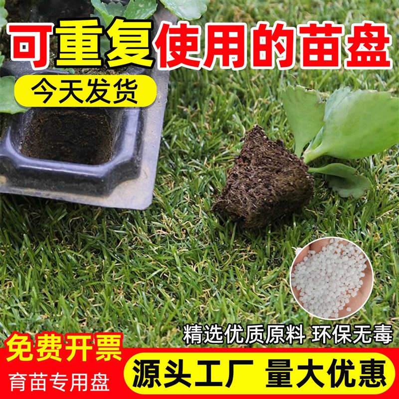育苗穴盘托盘秧苗盘加大加厚西红柿玉米西瓜辣椒扦插幼苗塑料盒子
