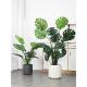 装 落地式 饰品假绿色植 饰客厅窗户家居经典 模拟植物怪物盆栽室内装