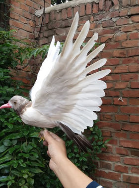 仿真展翅海鸥 婚纱摄影 办公室商场装饰家庭摆件影视场景道具模型