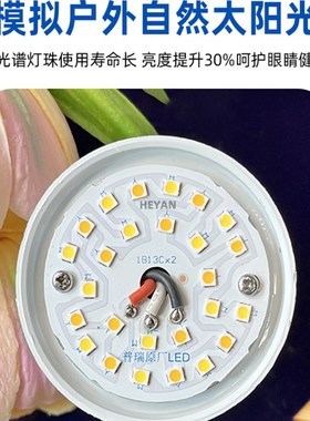 进口普里全光谱儿童学习阅读护眼灯泡专用低蓝光无闪烁E27螺丝插