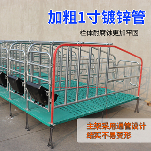 母猪定位栏猪用半限位栏养猪场设备落地订位围栏杆猪圈漏粪板配件