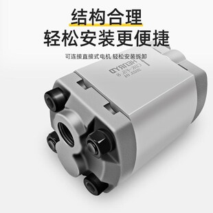 F1.3 F1.6 F3.7 F0.8 F4.2 F3.2 F1.0 F2.5 液压齿轮泵CBK F2.1