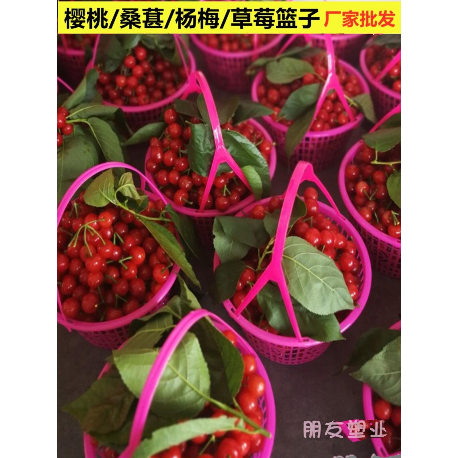 草莓篮子塑料圆篮1-6斤装杨梅篮水果采摘圆篮子圆形塑料框杨梅框