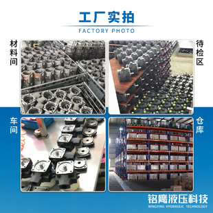 油泵电机组VP20叶片泵总成液压站专用配件0.75 1.5kw内轴380v三相