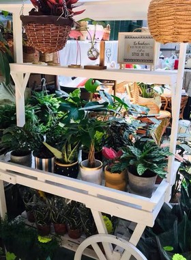 美式乡村复古实木大花架 手推车花房花车商业店铺橱窗花园置物架