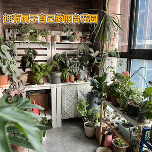 实木花架阳台花艺置物架植物摆放架室外花架盆栽架多层园艺工作台