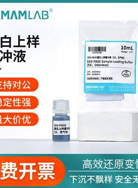 比克曼生物蛋白上样缓冲液SDS-PAGE还原型电泳实验Loading buffer