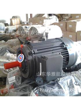 YBX4-90S-6-0.75KW立式卧式上线侧线380V IP55电机可替代湘潭电机
