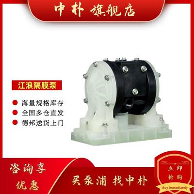 江浪气动隔膜泵RV12001/RV11001/RV15A11 1/4寸化工污水泵