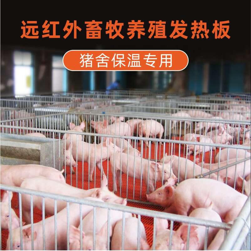 不锈钢仔猪用电热板家兽宠物养殖场加热板保温板碳纤维猪仔碳晶