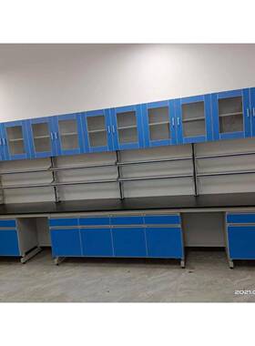 全钢吊柜实验室挂式壁my9Y3TS1储物柜木全玻璃门柜子物理化带学用