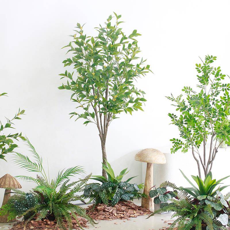 植造景F766J5S7绿棉物层覆盖松树皮打磨自抛光空间植装饰搭配森系