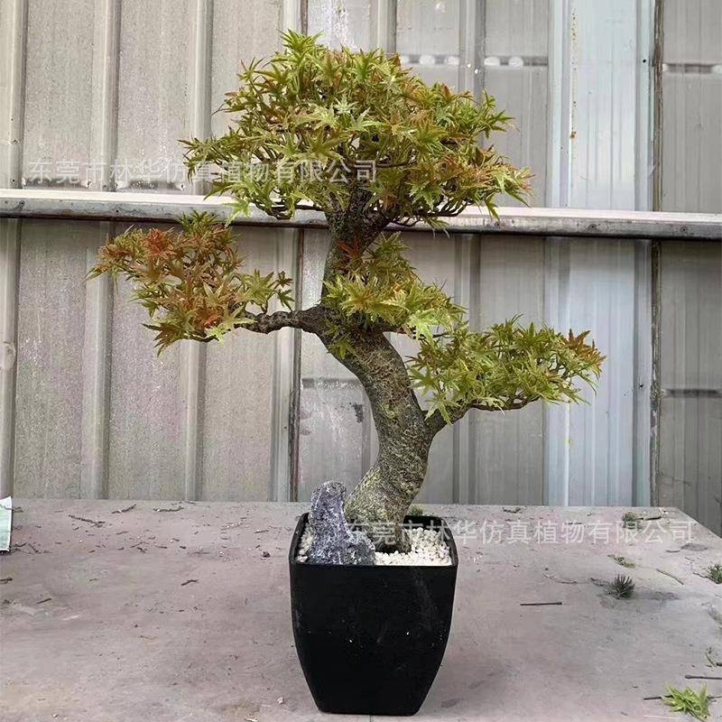 仿真松树盆景仿真枫件迎客松盆栽仿真绿植仿真迎客装饰摆仿真盆叶