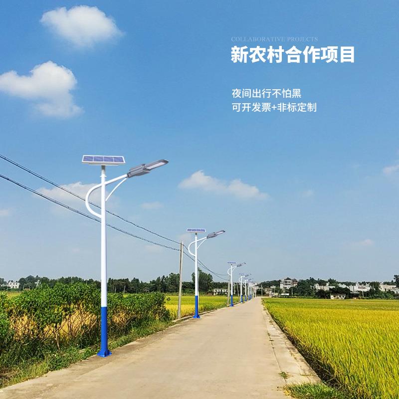 伟农澳照明厂阳家直销太能FWV路灯6米40W外新户村市政道路超亮