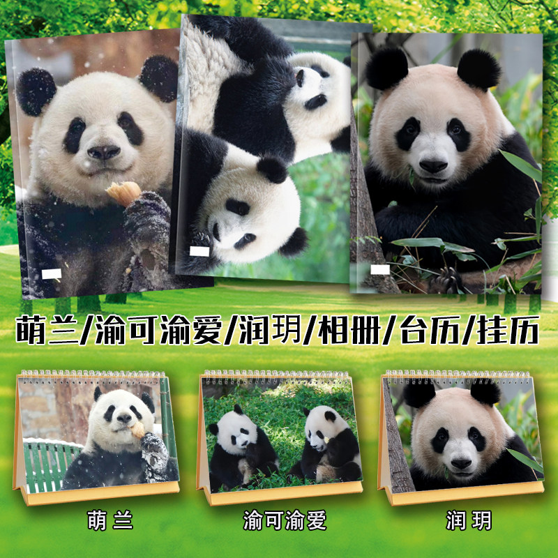 大熊猫渝可渝爱小奇迹润月萌兰2024年台历挂历日历写真集相簿画册