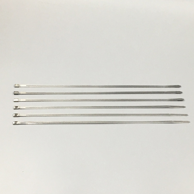 304不锈钢扎带 自锁式阶梯扎带4.6*300mm/200mm 卡扣扎带金属绑带