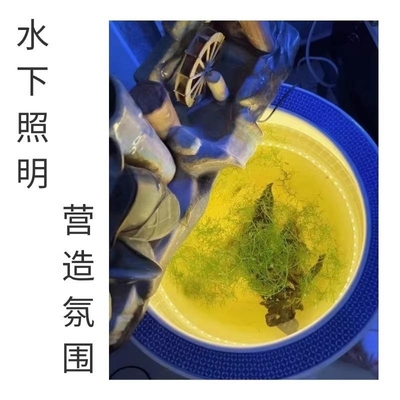 古法养鱼鱼缸低压防水led灯带水下泡水灯带自粘超亮软灯条2V