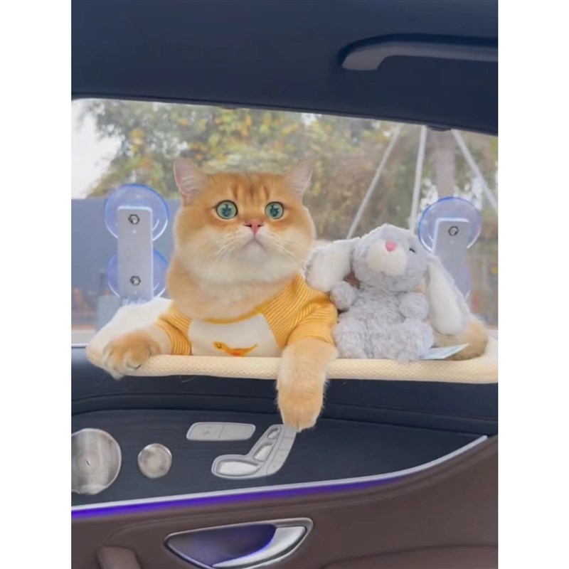 吸盘猫吊床车载车玻璃窗户晒太阳可折叠式悬挂睡觉床吊床肥猫猫窝