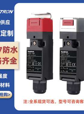 型号D4NS—1AF厂家小型电磁锁，安全门开关，安全磁锁开关带锁