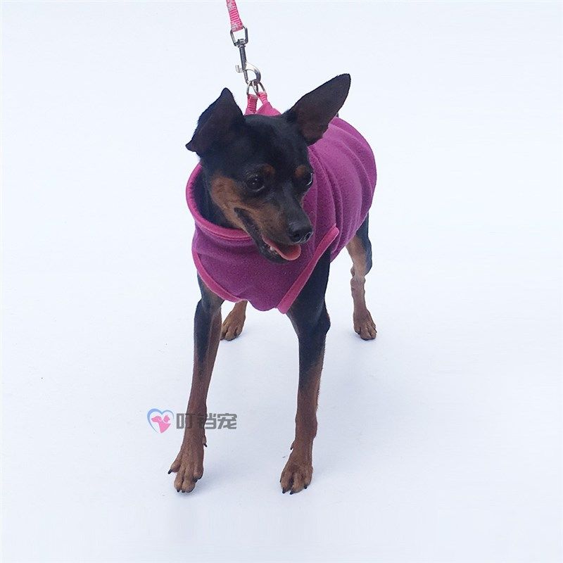 小鹿犬专用衣服狗狗2023新款迷你小体冬天加绒马甲背心一斤秋冬季