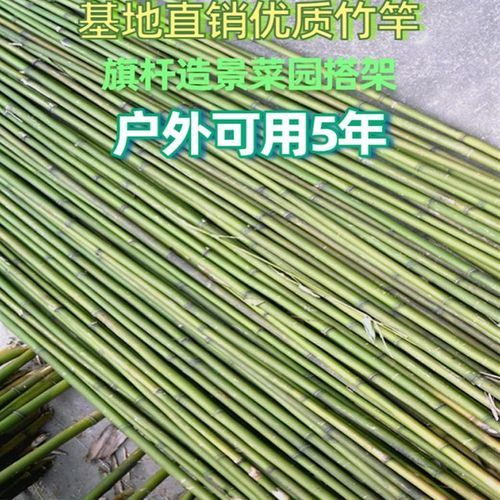 竹子竿竹竿菜园搭架豆角架杆黄瓜竹竿棍小竹子围栏旗杆怕藤架栅栏
