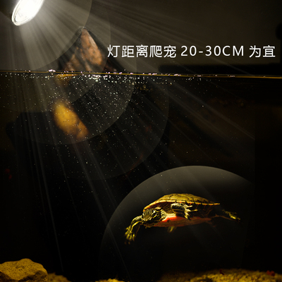 三合一乌龟缸晒背灯加热爬宠爬虫蜥蜴陆龟箱饲养盒灯泡uva+uvb