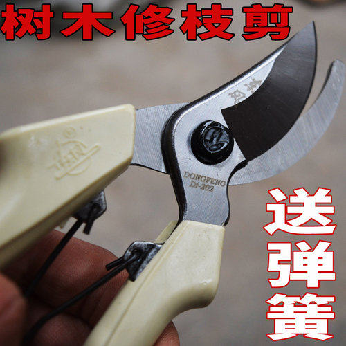 修枝剪辽宁熊岳东风剪刀园林修枝粗枝花枝手剪盆景剪刀花枝果树