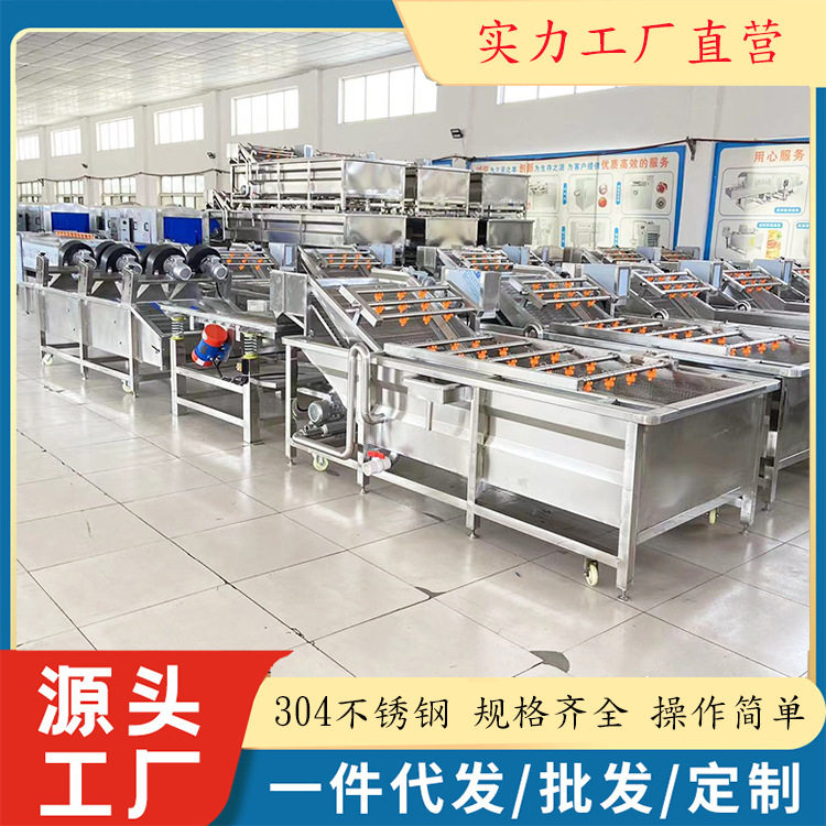 现货益母草清洗机 全自动金钱莲玉竹清洗机 百合枫斗气泡清洗设备