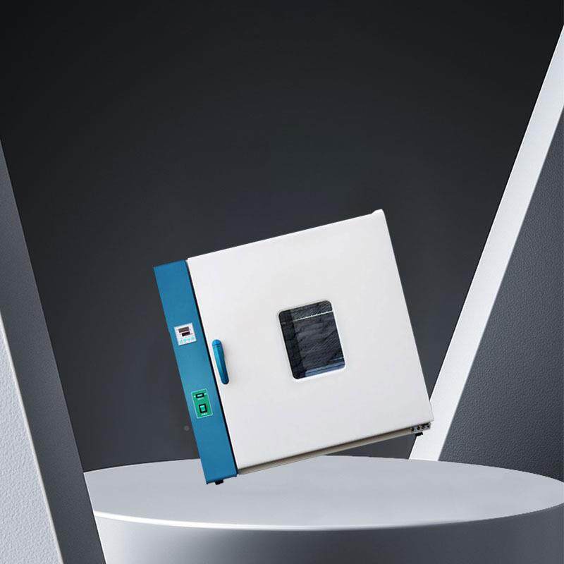 电热鼓风干燥箱PID智能控温仪烤精准控ECS温定时升级款车灯可箱