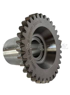 k19k838SNP发电机组配件N855水发动机t零件海泵齿轮300841