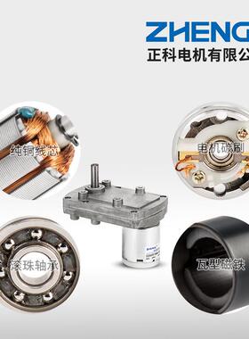 ZG流B9FE电机可调速正反转大矩直减速扭电638机偏心轴12V245V