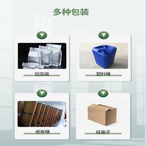 菌现货布拉迪酵母母200亿布拉氏酵菌布拉迪297酵母量大从优