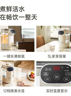 德国饮水机烧水能壶电热水瓶51488智恒温用视一体可保温家热水壶