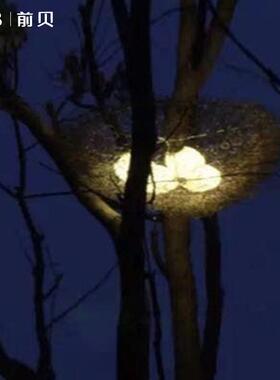 led发光鸟窝灯巢挂草树灯观装QB-85473景饰灯户外防水亮化布鸟置