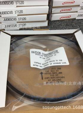 JG30壁CP0JGP300X0LEX0开顿等截面薄精密轴承CPOXPO