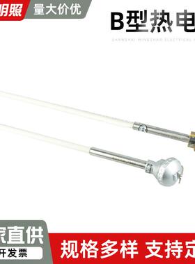 型热电11312偶耐高温电R型S分度99刚偶玉热管电热偶测温双铂铑电B
