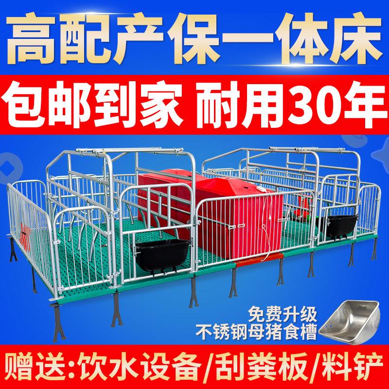 产保一体两用产床热镀2.5全覆合母猪产床定限位栏保育床养猪设备