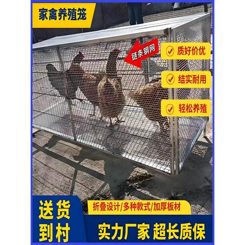 养殖鸡鸭鸭笼兔笼家禽黄鼠狼防鼠鸽笼加密加厚鸡笼户外鸡笼子家用