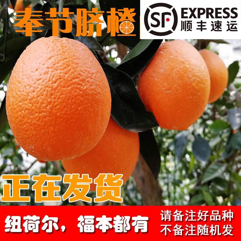 重庆奉节脐橙纽荷尔福本72-1新鲜带叶现摘水果橙子10斤20甜鲜礼盒