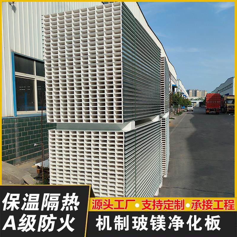 中空玻镁净化板防火彩钢夹芯板无尘车间轻质悬吊式天花板洁净板隔