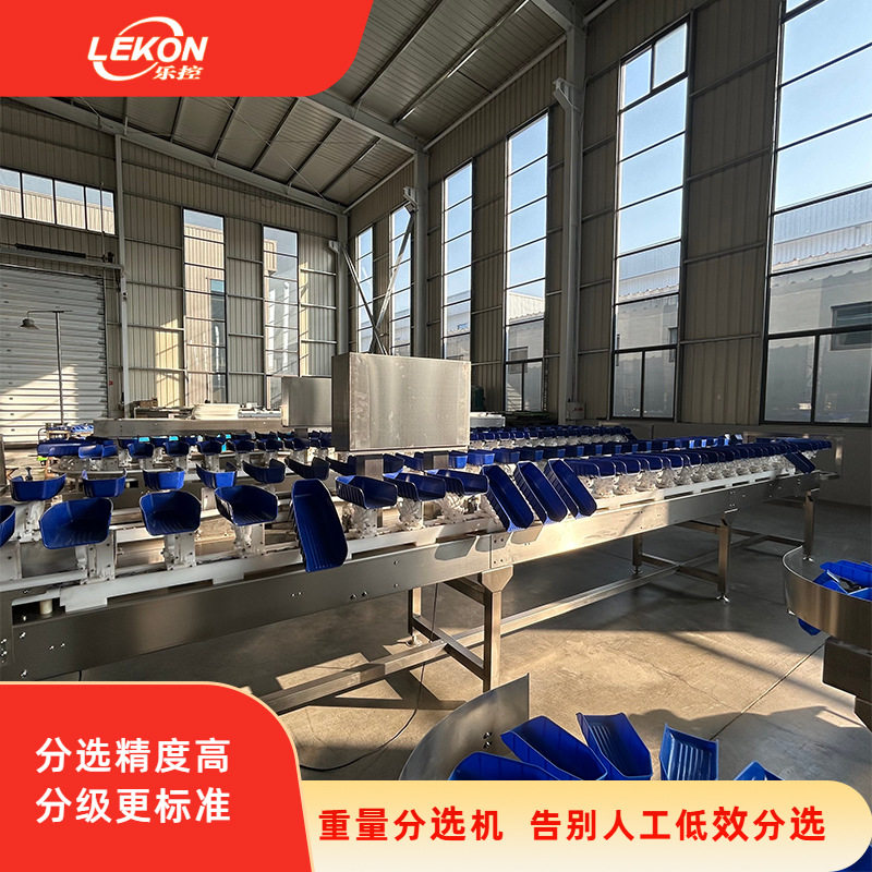 转盘式工业用水产重量分选机