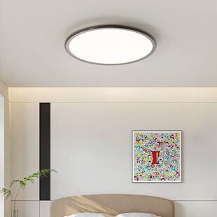 客厅吸顶灯简约云朵鹅卵石卧室复古胡桃木主灯大厅灯具铁艺灯罩