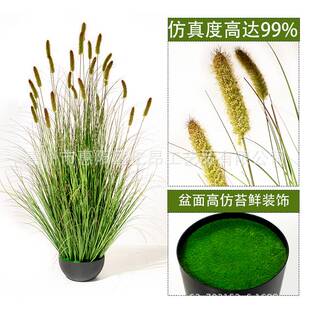 仿真盆栽带盆狗尾巴草绿色装饰绿植盆栽人造花卉盆栽龙须草假盆栽