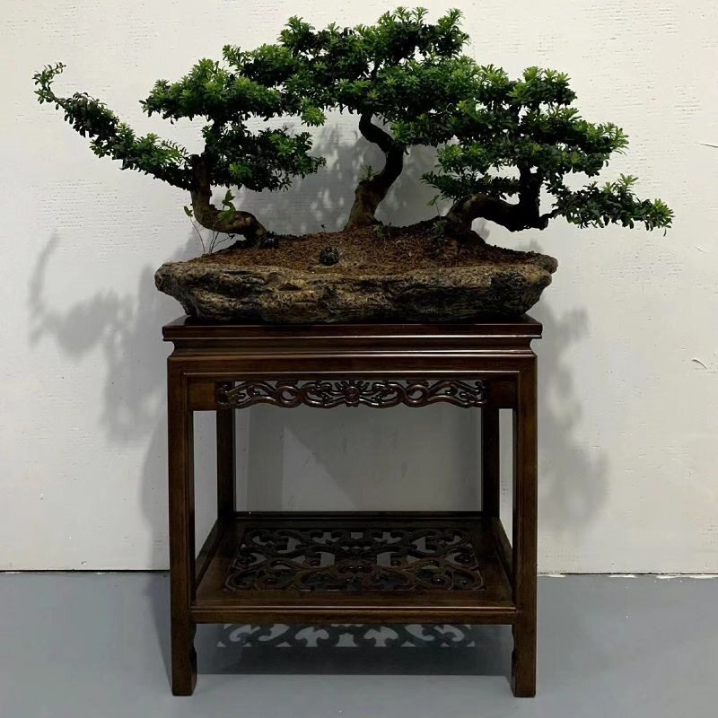 实木花架子室内家用置物架客厅中式鱼缸架仿古盆景石头工艺品落地