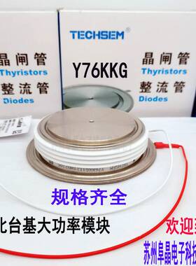 TECHSEM台基可控硅Y76KPM KP2500A4000V4500V 5200V平板晶闸管